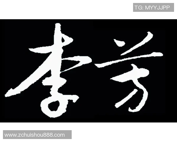 李芳独家分享排球技巧与心得助你提升球技的秘诀与经验