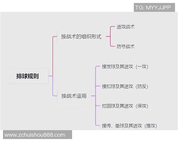 武汉排球队战术表现深度分析与数据解读探讨