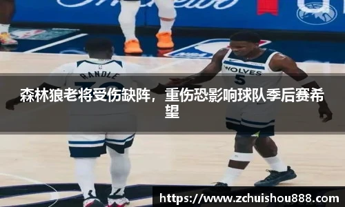 森林狼老将受伤缺阵，重伤恐影响球队季后赛希望